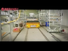 Self Propelled Rail Guided Vehicles, AGV Rail Carts